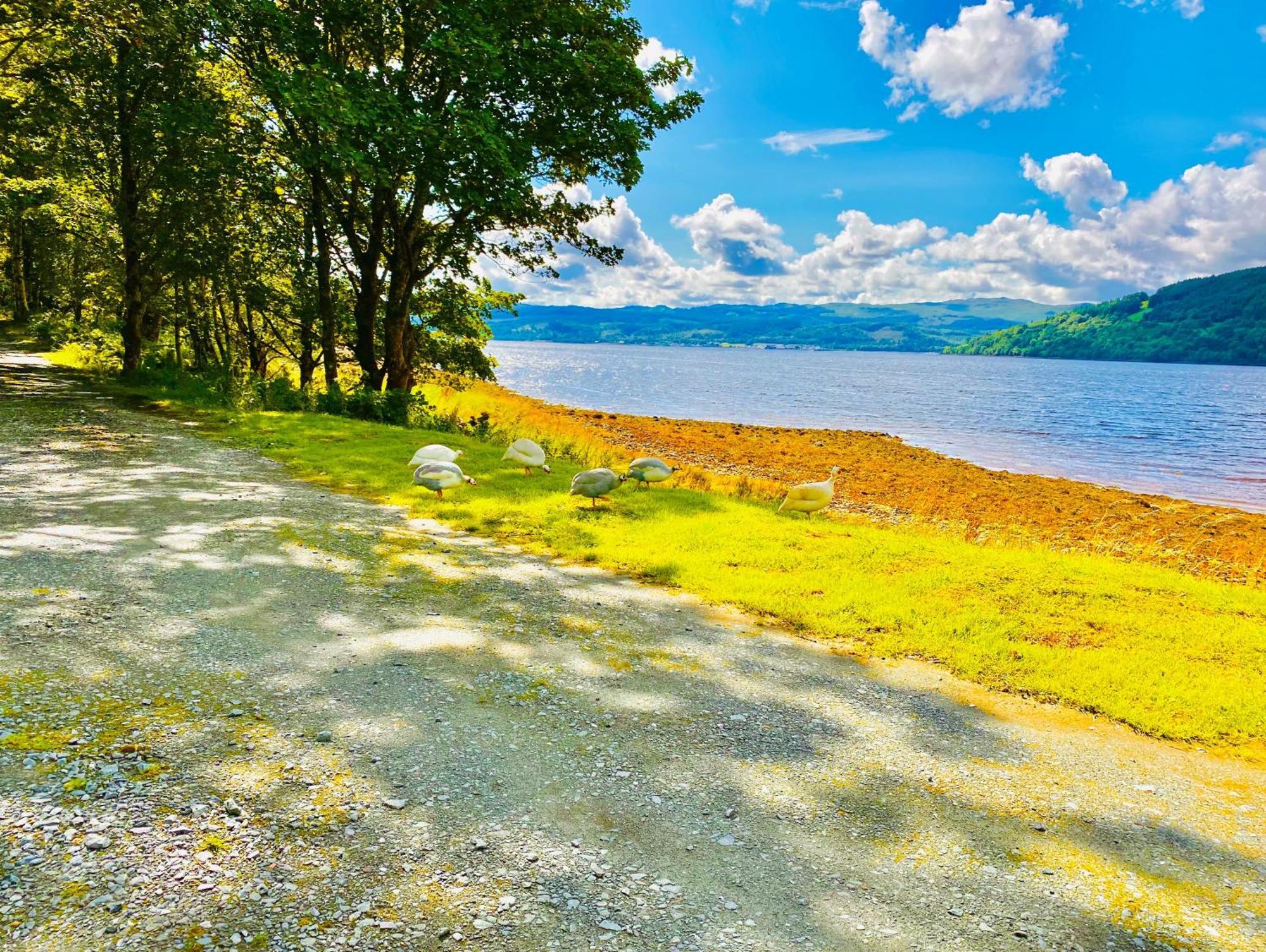Holiday home Seal Cove - Luxury Glamping